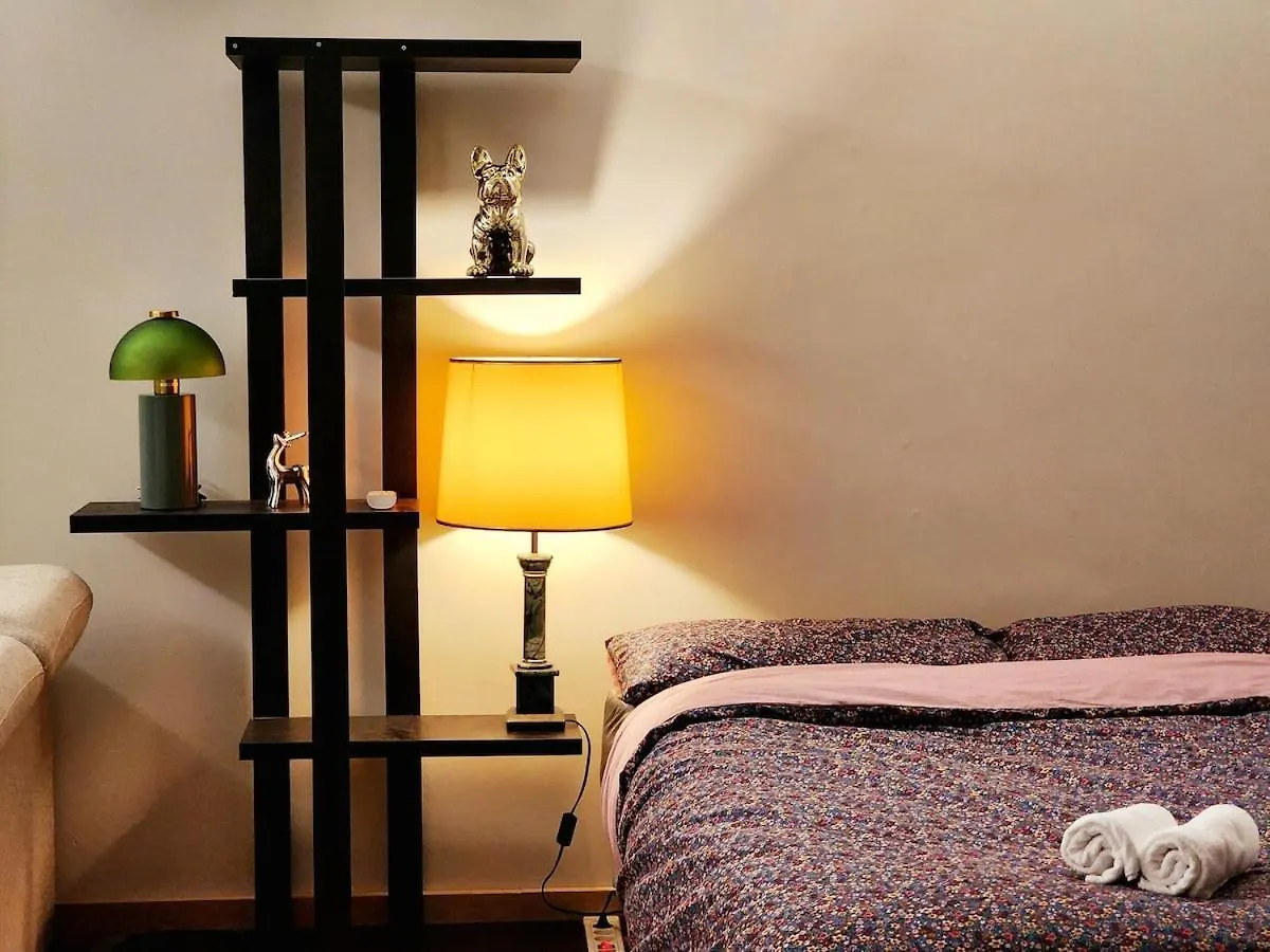 Calm And Cosy 60M2 Apartment Near Matabiau Station Τουλούζη